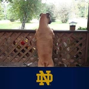 Meet your Posher, Kelley